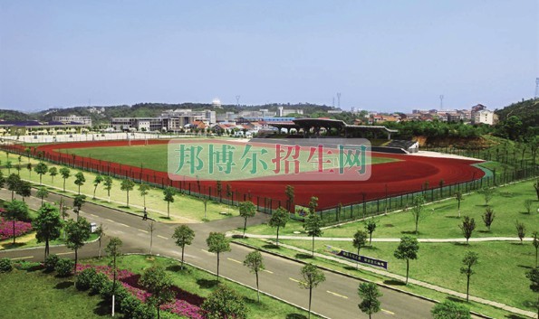 岳陽職業(yè)技術(shù)學院是幾專