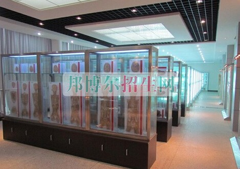 益陽醫(yī)學(xué)高等?？茖W(xué)校