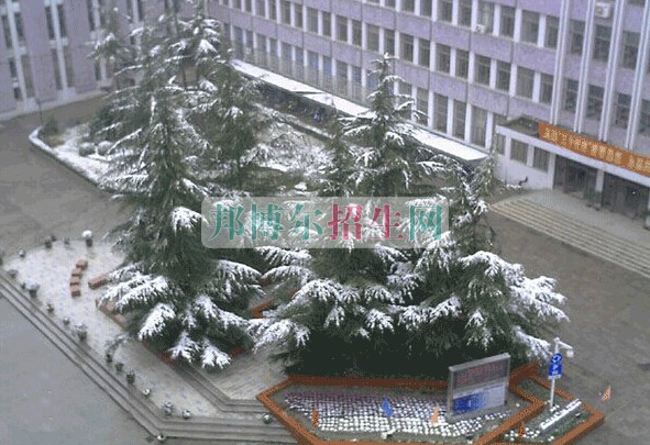 上海醫(yī)療器械高等?？茖W(xué)校