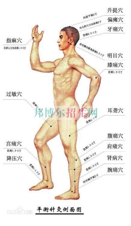成都針灸推拿多少錢(qián)