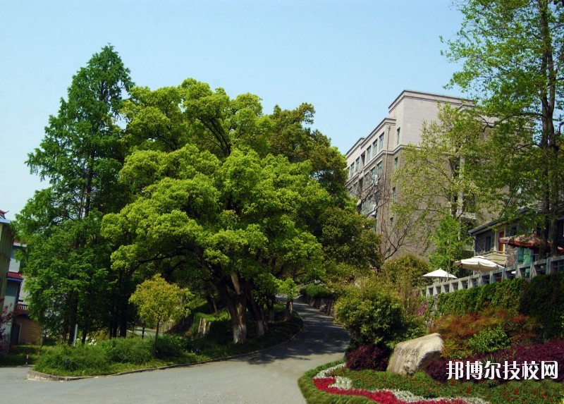 中國美術學院附屬中等美術學校2020年報名條件、招生要求、招生對象