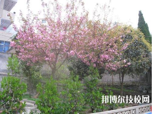 嵐皋縣中等職業(yè)技術(shù)學(xué)校2020年報(bào)名條件、招生要求、招生對(duì)象