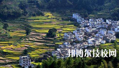 江西婺源茶葉學校2020年報名條件、招生要求、招生對象