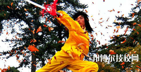 平?jīng)鲠轻嘉奈鋵W(xué)校2020年報(bào)名條件、招生要求、招生對(duì)象