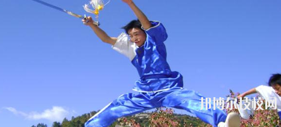 平?jīng)鲠轻嘉奈鋵W校網(wǎng)站網(wǎng)址