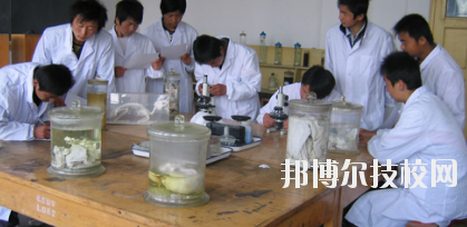 臨夏農(nóng)業(yè)學(xué)校2020年學(xué)費(fèi)、收費(fèi)多少