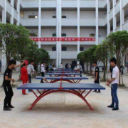 宜章縣中等職業(yè)技術(shù)學校