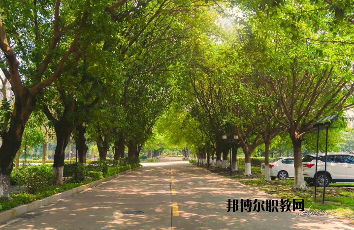 河南團(tuán)校2021年報(bào)名條件、招生要求、招生對(duì)象