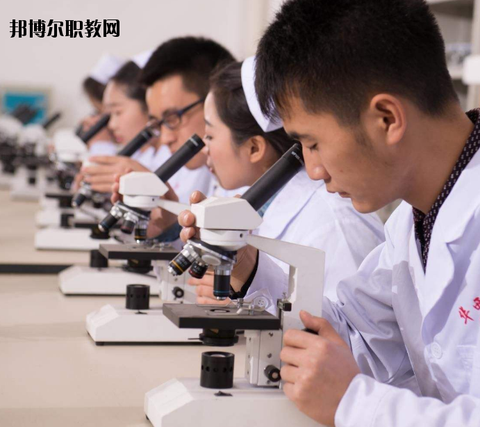 焦作護(hù)理學(xué)校怎么樣、好不好