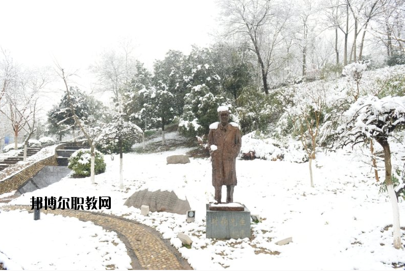 南京工業(yè)大學(xué)2020年報名條件、招生要求、招生對象