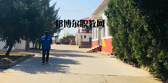 秦皇島奇石藝術學校怎么樣、好不好