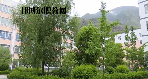 文縣職業(yè)技術(shù)學(xué)校2020年報名條件、招生要求、招生對象