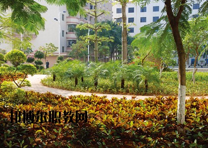 湛江技師學(xué)院怎么樣、好不好