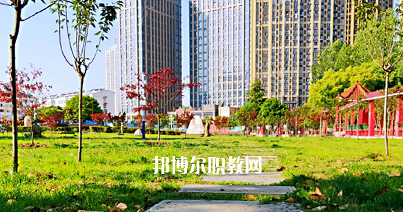 合肥飛躍學校2020年報名條件、招生要求、招生對象 