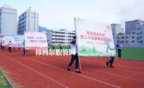 惠東縣惠東職業(yè)中學網站網址 