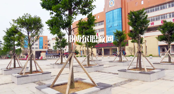 信宜職業(yè)技術(shù)學校2020年招生錄取分數(shù)線