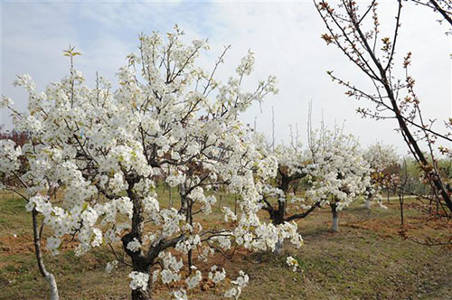 宿遷高等師范學(xué)校怎么樣、好不好