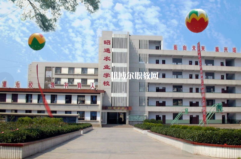 昭通農業(yè)學校網(wǎng)址網(wǎng)站