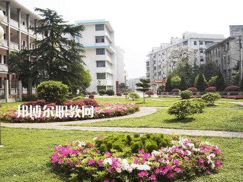保山市昌寧縣職業(yè)技術(shù)學校網(wǎng)站網(wǎng)址