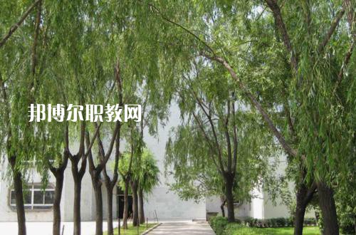 新疆喀什地區(qū)衛(wèi)生學(xué)校2021年報(bào)名條件、招生要求、招生對(duì)象