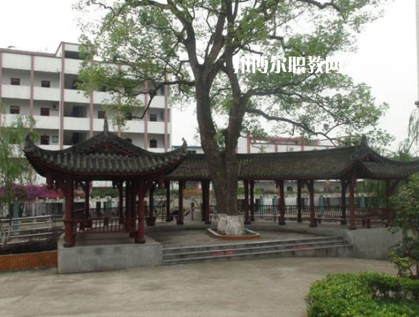 四川合江先市職業(yè)高級(jí)中學(xué)校怎么樣、好不好