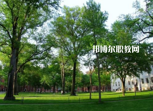 鳳慶縣職業(yè)高級中學(xué)2022年招生錄取分?jǐn)?shù)線