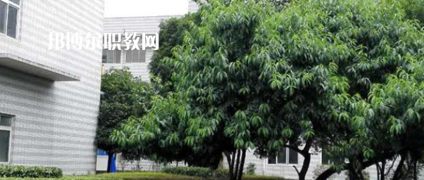 成都市中山職業(yè)技術學校2022年報名條件、招生要求、招生對象