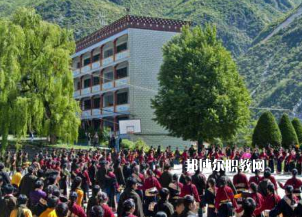 四川省藏文學(xué)校2022年報名條件、招生要求、招生對象