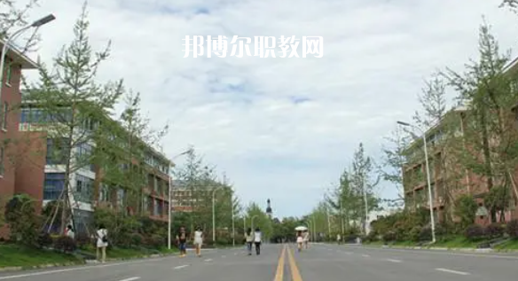 成都高職?？圃盒Ｅ琶?8強