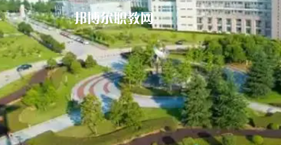 湖北高職?？圃盒Ｅ琶?0強