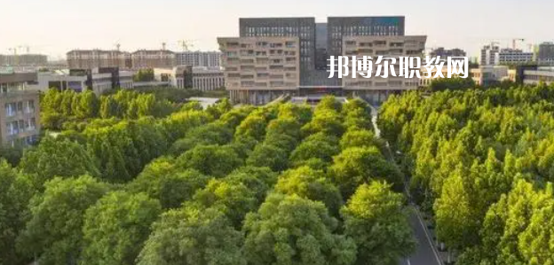 2023山東十大?？茖W校名單及排行榜