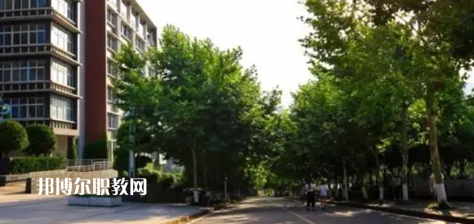 重慶醫(yī)藥高等?？茖W(xué)校好不好_2023年有單招嗎