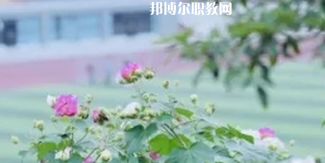 眉山技師學(xué)院地址在哪里，哪個(gè)地區(qū)，哪個(gè)城市?