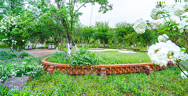 重慶望江技工學(xué)校地址在哪里，哪個(gè)地區(qū)，哪個(gè)城市?