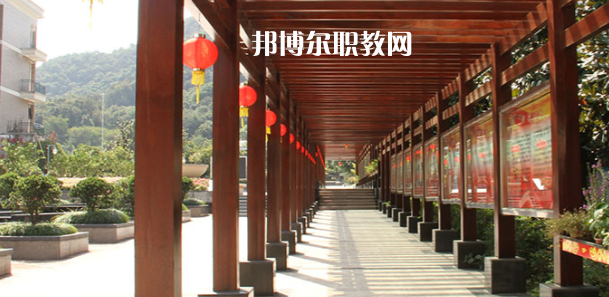 2023杭州市城西中學(xué)職高部招生計(jì)劃 招生人數(shù)是多少(附要求、條件、對(duì)象)