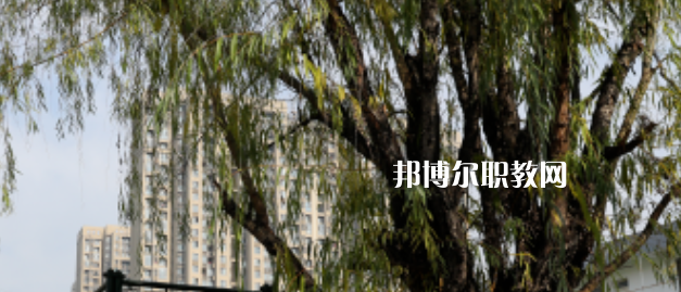 西安東方藝術(shù)職業(yè)學(xué)校地址在哪里，哪個地區(qū)，哪個城市?