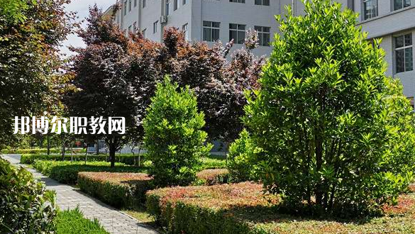 2023渭南技師學院招生計劃 招生人數(shù)是多少(附要求、條件、對象)