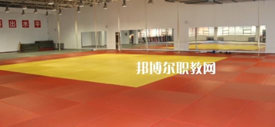 2023渭南市青少年體育運動學(xué)校招生計劃 招生人數(shù)是多少(附要求、條件、對象)
