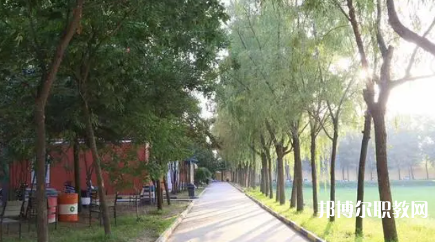 2023西安大中科技技工學(xué)校招生計(jì)劃 招生人數(shù)是多少(附要求、條件、對象)