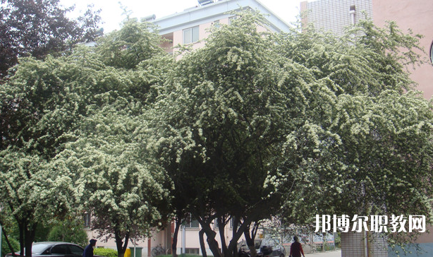 寶雞技師學(xué)院地址，乘車路線