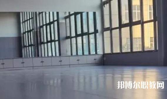 2023秦皇島市藝新舞蹈學(xué)校招生計劃 招生人數(shù)是多少(附要求、條件、對象)