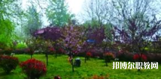2023隆堯縣職業(yè)技術(shù)教育中心招生計(jì)劃 招生人數(shù)是多少(附要求、條件、對(duì)象)