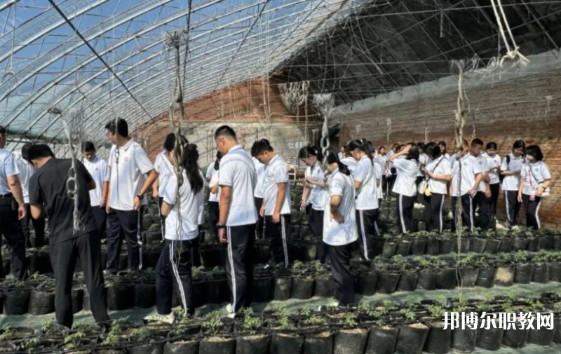 2024營口市農業(yè)工程學校招生計劃 招生人數(shù)是多少(附要求、條件、對象)