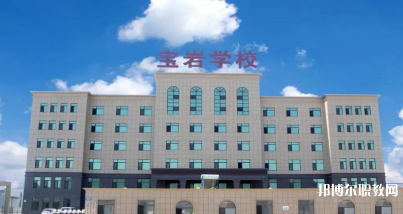 2025沈陽寶巖藝術(shù)學(xué)校招生計劃 招生人數(shù)是多少(附要求、條件、對象)