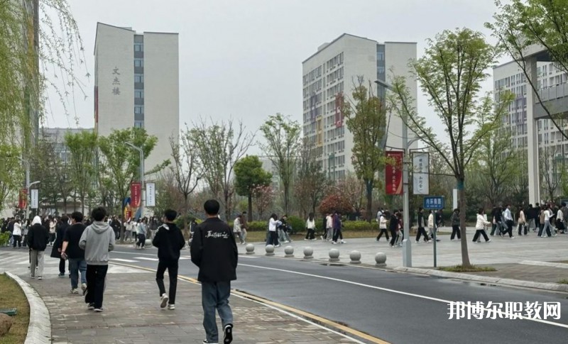 2025合肥技師學(xué)院招生計(jì)劃 招生人數(shù)是多少(附要求、條件、對(duì)象)