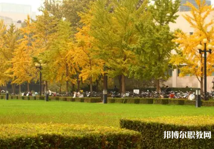 2025玉林中職學校最新排名前三名單