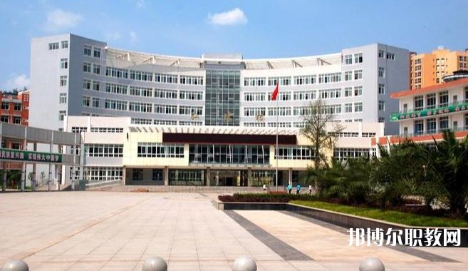 四川2025年關(guān)于電工學(xué)校的大專學(xué)校